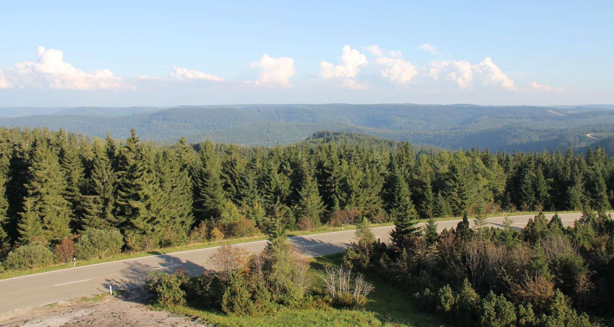 Wellness-& Nationapark Hotel Schliffkopf, Bwsc Baiersbronn Zewnętrze zdjęcie