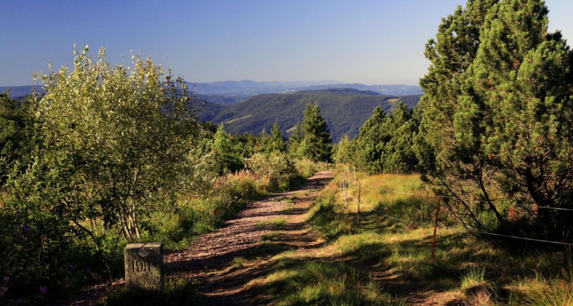 Wellness-& Nationapark Hotel Schliffkopf, Bwsc Baiersbronn Zewnętrze zdjęcie