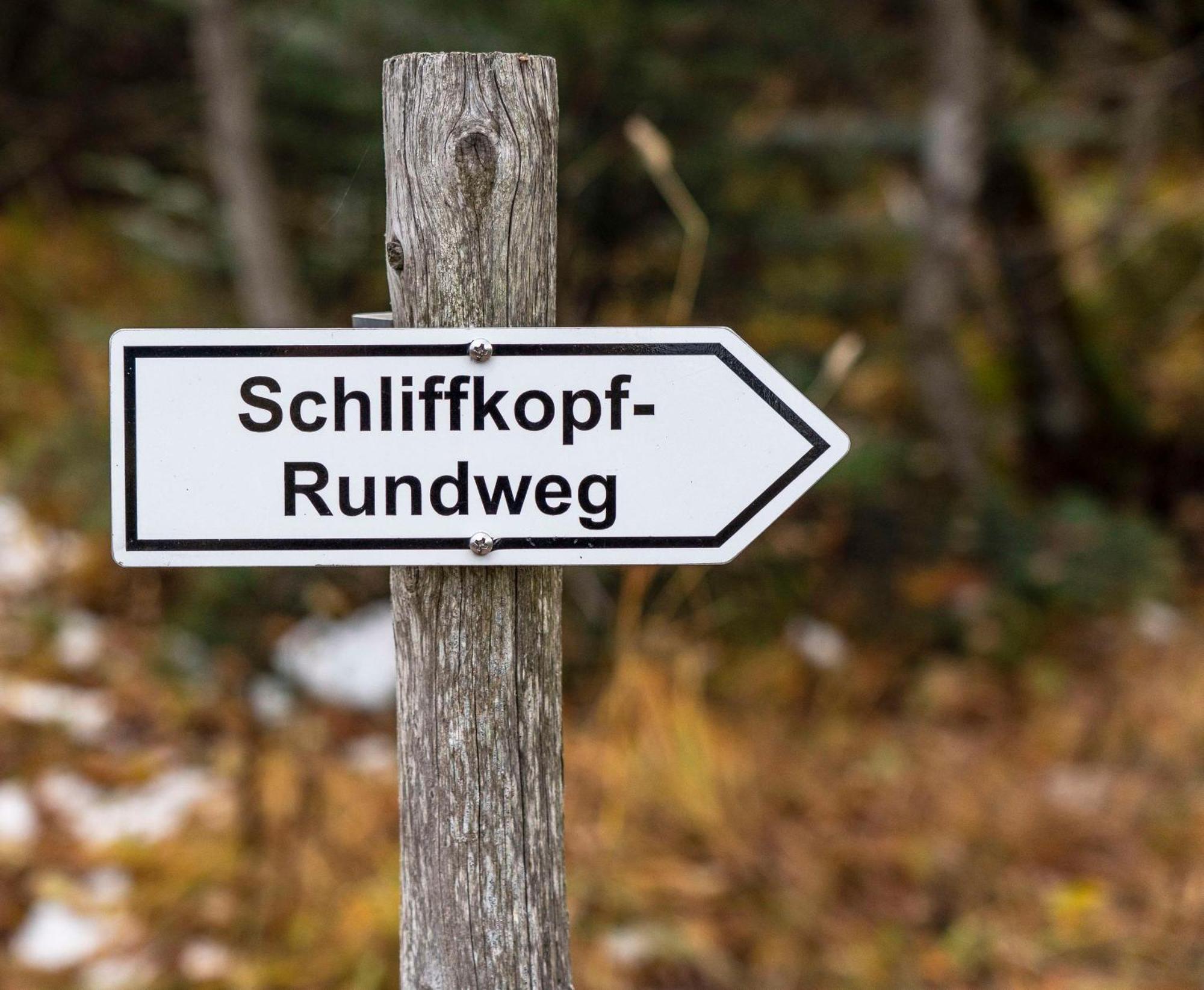 Wellness-& Nationapark Hotel Schliffkopf, Bwsc Baiersbronn Zewnętrze zdjęcie